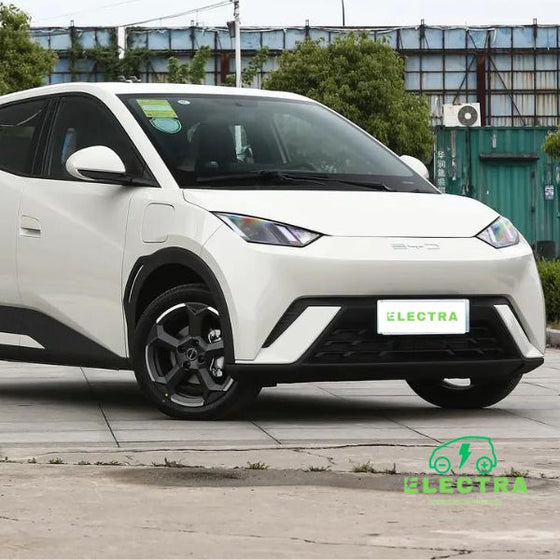 BYD SeaGull 2023